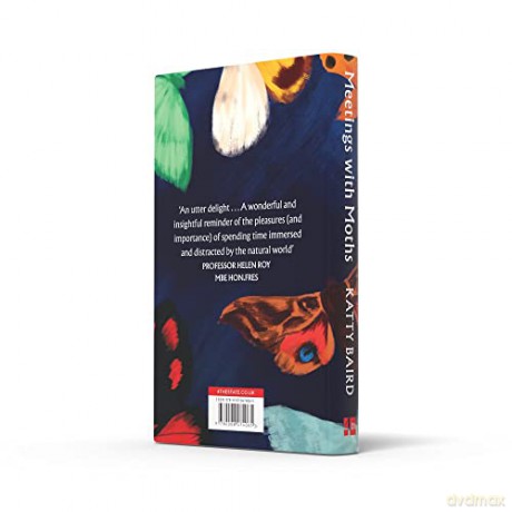 Meetings With Moths - Katty Baird [KSIĄŻKA]