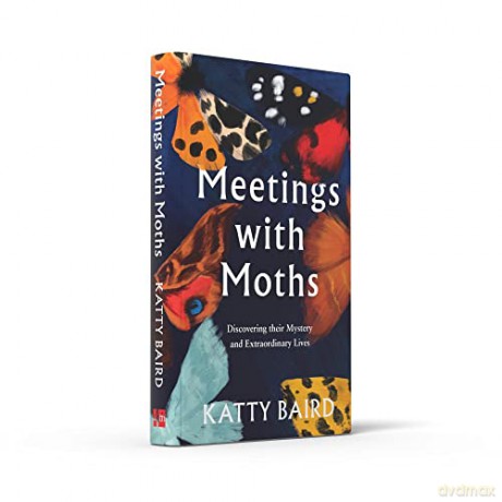 Meetings With Moths - Katty Baird [KSIĄŻKA]