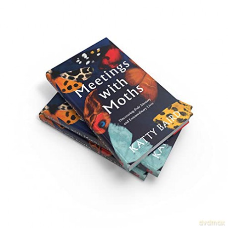 Meetings With Moths - Katty Baird [KSIĄŻKA]
