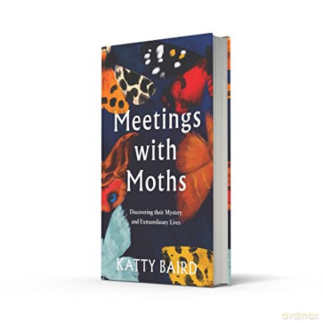 Meetings With Moths - Katty Baird [KSIĄŻKA]