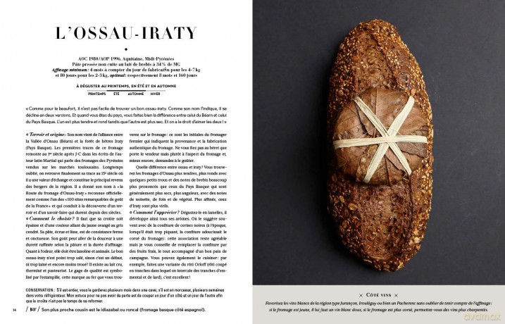 Meilleurs Ouvriers De France Fromages Le - Dominique Bouchait [KSIĄŻKA]