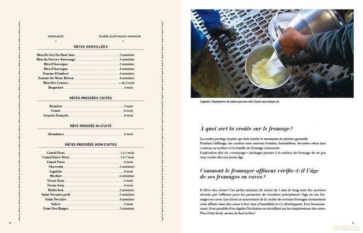 Meilleurs Ouvriers De France Fromages Le - Dominique Bouchait [KSIĄŻKA]