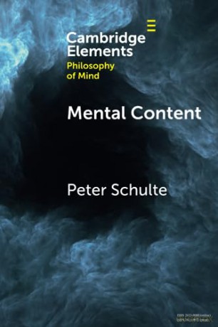 Mental Content - Schulte Peter [KSIĄŻKA]
