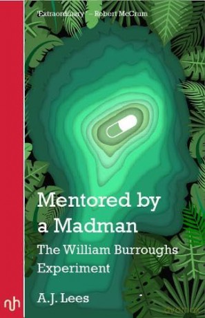 Mentored By A Madman - A J Lees [KSIĄŻKA]