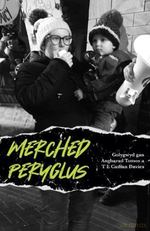 Merched Peryglus - T C (Ed) Davies [KSIĄŻKA]