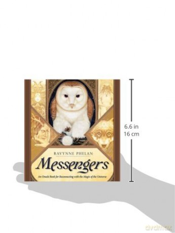 Messengers - Ravynne Phelan [KSIĄŻKA]