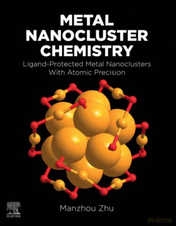 Metal Nanocluster Chemistry - Manzhou Zhu [KSIĄŻKA]