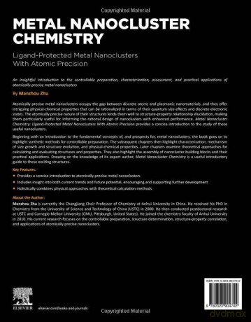 Metal Nanocluster Chemistry - Manzhou Zhu [KSIĄŻKA]