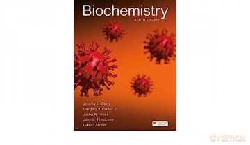 Mie Biochemistry 10e - Berg Jeremy M [KSIĄŻKA]