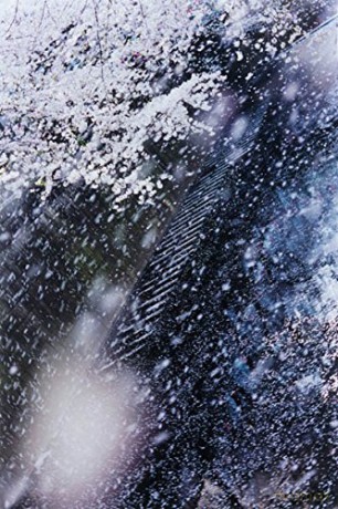 Mika Ninagawa Into Fictionreality - Mika Ninagawa [KSIĄŻKA]