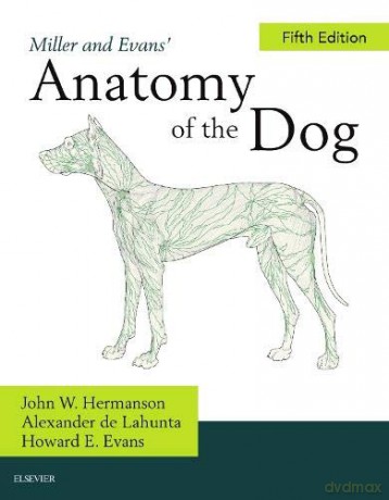 Millers Anatomy Of The Dog [KSIĄŻKA]