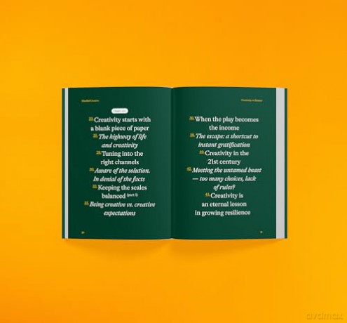 Mind Full Creative - Radim Malinic [KSIĄŻKA]