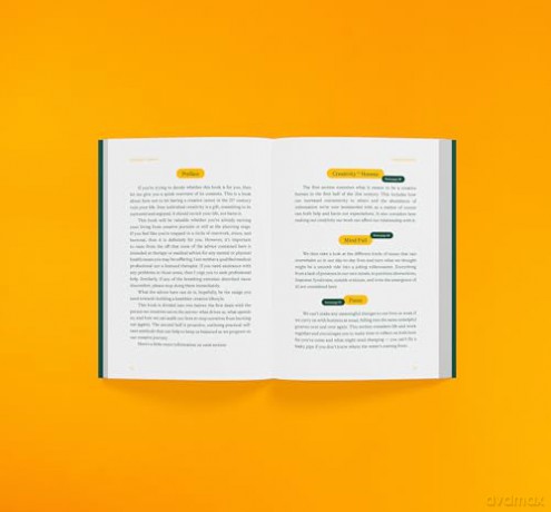 Mind Full Creative - Radim Malinic [KSIĄŻKA]