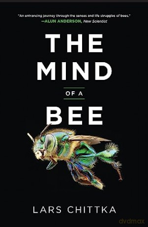 Mind Of A Bee - Lars Chittka [KSIĄŻKA]