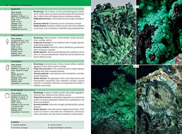 Minerals Encyclopedia - Rupert Hochleitner [KSIĄŻKA]