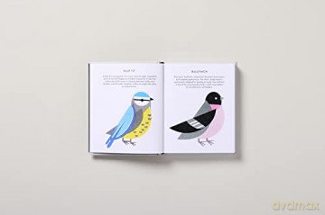 Mini Stories - Scout Editions [KSIĄŻKA]