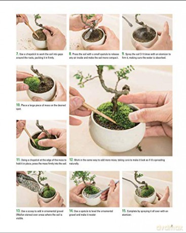 Miniature Japanese Gardens - Kenji Kobayashi [KSIĄŻKA]