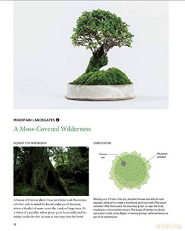 Miniature Japanese Gardens - Kenji Kobayashi [KSIĄŻKA]