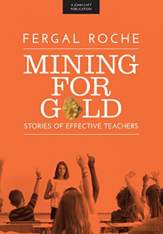 Mining For Gold - Fergal Roche [KSIĄŻKA]