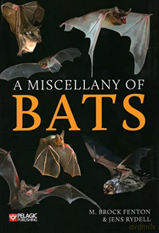 Miscellany Of Bats - M. Brock Fenton [KSIĄŻKA]