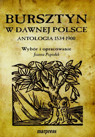 Bursztyn W Dawnej Polsce - Popiołek Joanna [KSIĄŻKA]