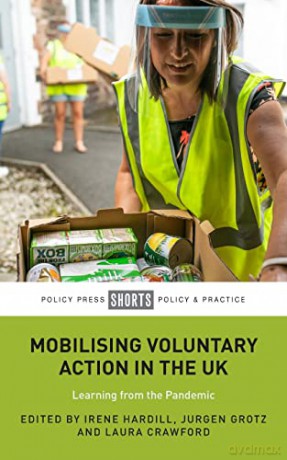 Mobilising Voluntary Action In The Uk - Irene Hardill [KSIĄŻKA]