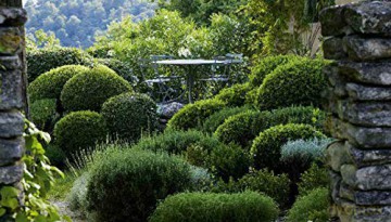 Modern Design In Provence - Nicole De Vesian [KSIĄŻKA]