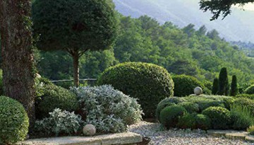 Modern Design In Provence - Nicole De Vesian [KSIĄŻKA]