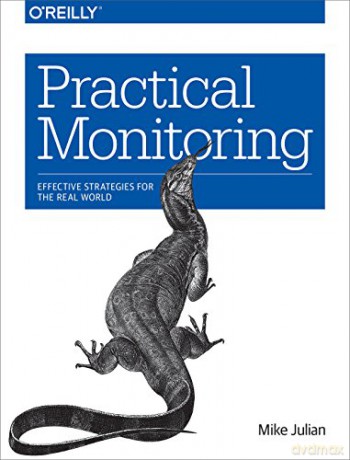 Modern Monitoring - Mike Julian [KSIĄŻKA]