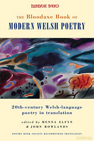Modern Welsh Poetry - Elfyn Menna [KSIĄŻKA]