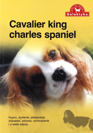 Cavalier King Charles Spaniel [KSIĄŻKA]