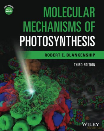 Molecular Mechanisms Of Photosynthesis [KSIĄŻKA]