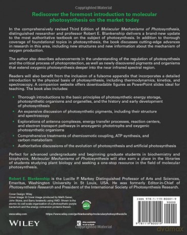 Molecular Mechanisms Of Photosynthesis [KSIĄŻKA]