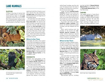Moon Best Of Costa Rica First Edition - Nikki Solano [KSIĄŻKA]