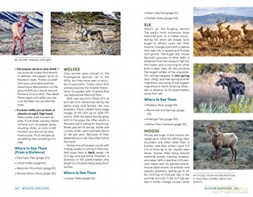 Moon Best Of Yellowstone Grand Teton - Becky Lomax [KSIĄŻKA]