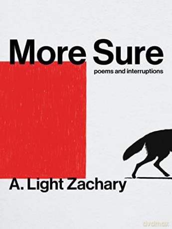 More Sure - A. Light Zachary [KSIĄŻKA]