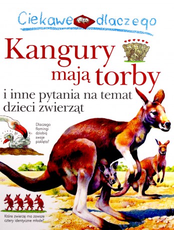 Ciekawe Dlaczego Kangury Mają Torby [KSIĄŻKA]