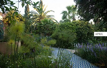 Morocco In Bloom - Giuppi Pietromarchi [KSIĄŻKA]