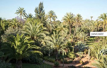 Morocco In Bloom - Giuppi Pietromarchi [KSIĄŻKA]
