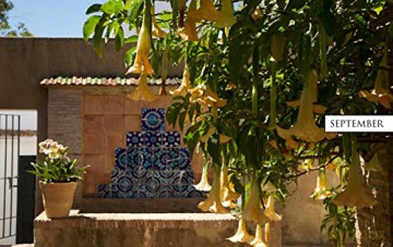 Morocco In Bloom - Giuppi Pietromarchi [KSIĄŻKA]