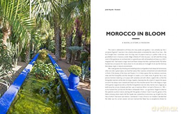 Morocco In Bloom - Giuppi Pietromarchi [KSIĄŻKA]