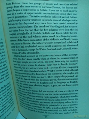 Mother Tongue The - Bill Bryson [KSIĄŻKA]