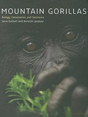 Mountain Gorillas - Gene Eckhart [KSIĄŻKA]
