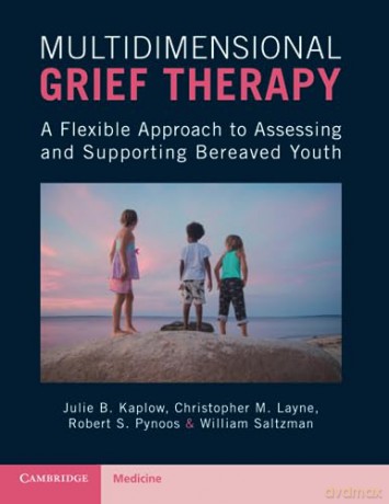 Multidimensional Grief Therapy - Julie Kaplow [KSIĄŻKA]