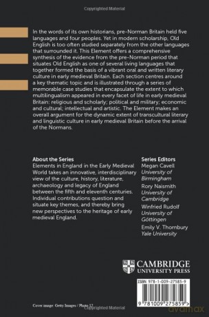 Multilingualism In Early Medieval Brita - Brady Lindy [KSIĄŻKA]
