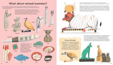 Mummies Unwrapped - Tom (Illus) Froese [KSIĄŻKA]