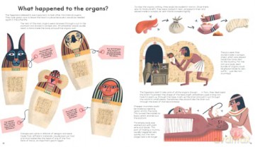 Mummies Unwrapped - Tom (Illus) Froese [KSIĄŻKA]
