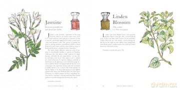 Museum Of Scent - Mandy Aftel [KSIĄŻKA]
