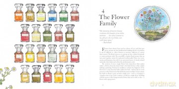 Museum Of Scent - Mandy Aftel [KSIĄŻKA]