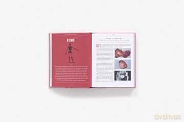 My Anatomy Book - Nicole Angemi [KSIĄŻKA]